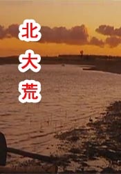 男女性高爱潮久久